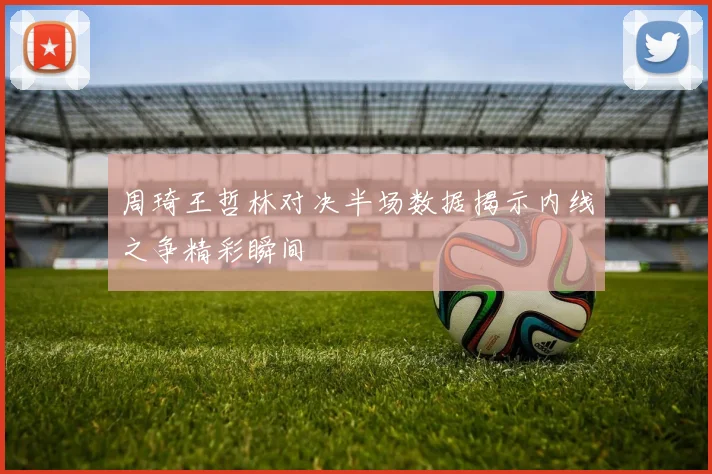 周琦王哲林对决半场数据揭示内线之争精彩瞬间